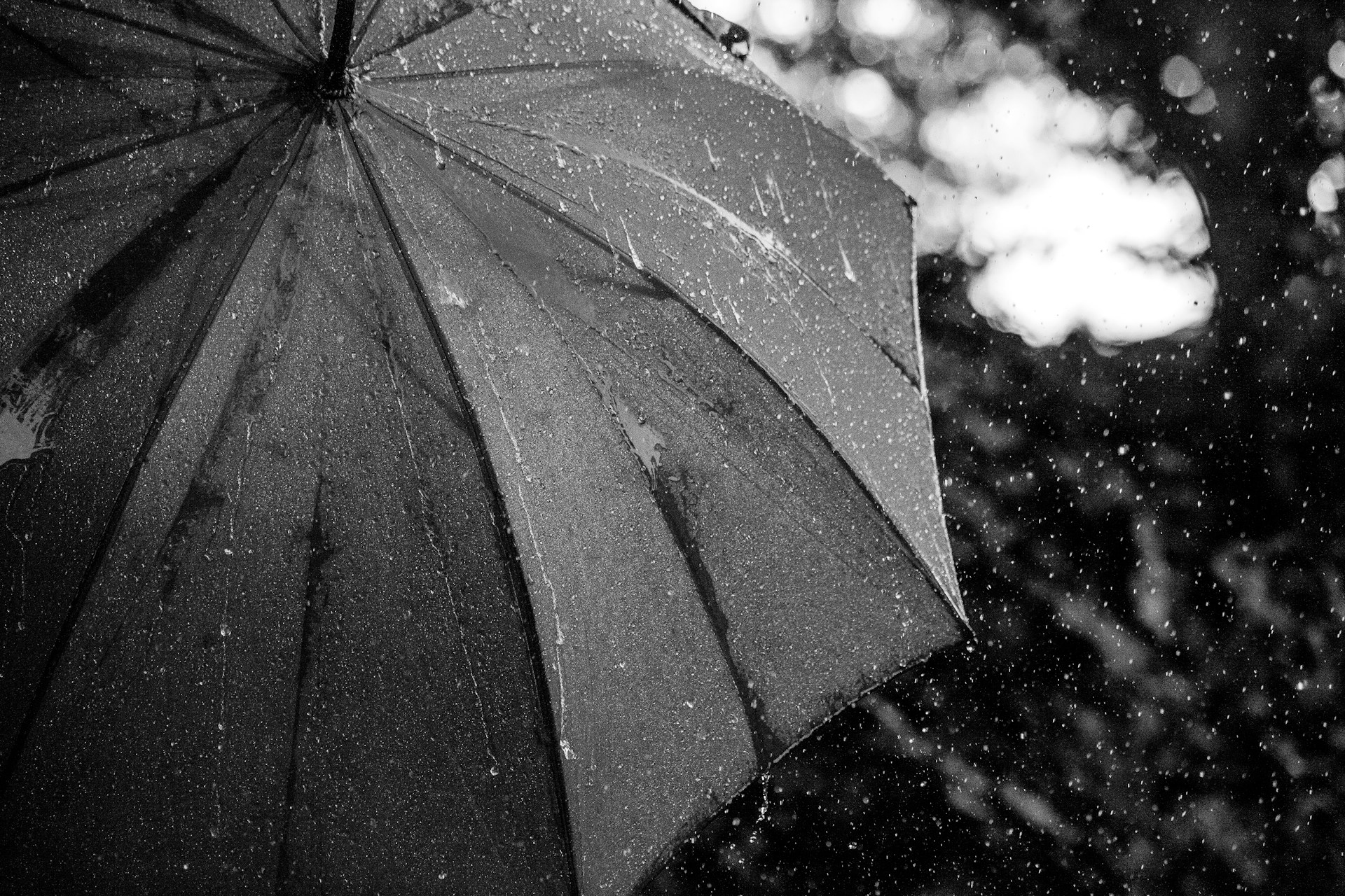 A black umbrella held steady in heavy rain, black and white photograph